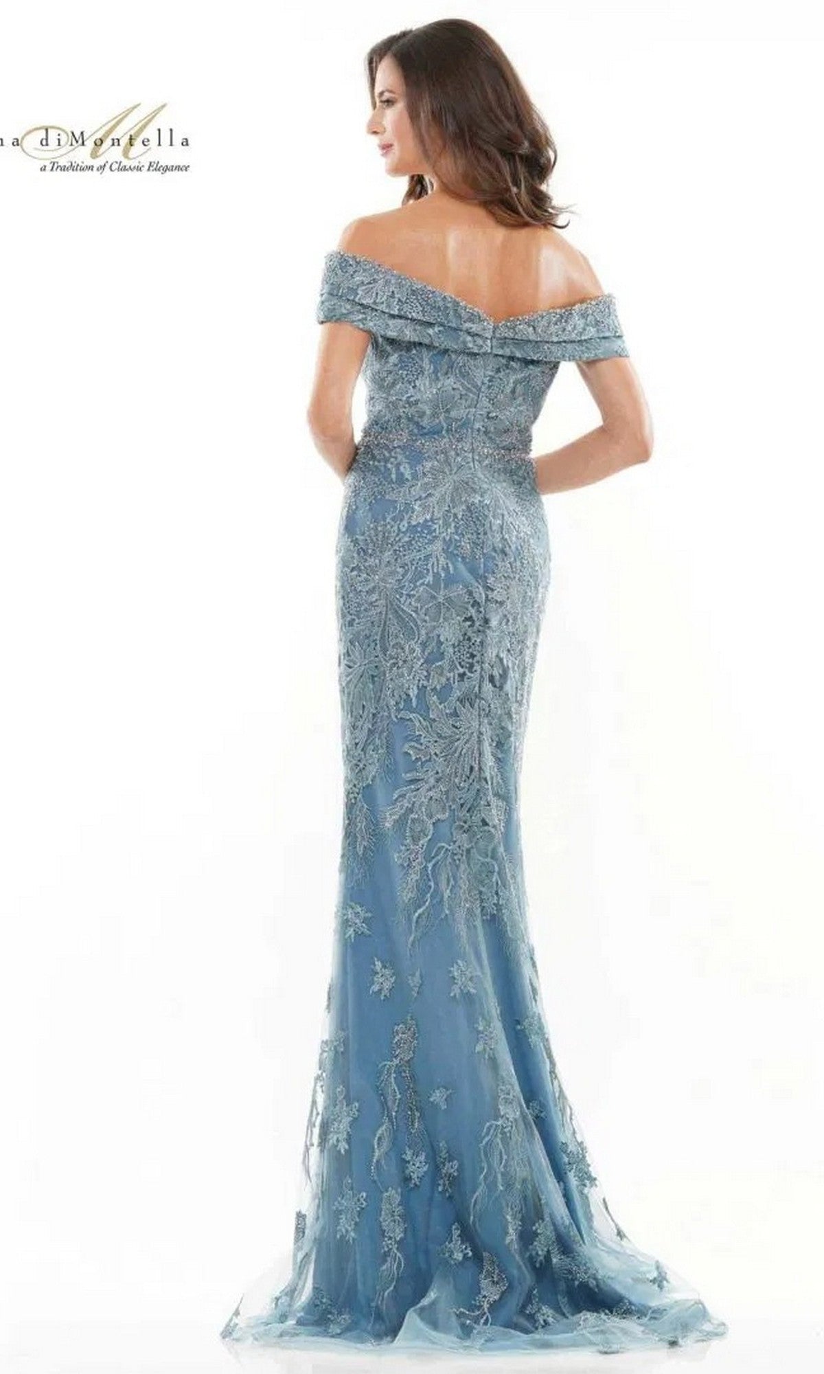A woman faces away, wearing the Long Formal Dress: Rina Di Montella RD2737—a floor-length light blue sheer lace gown with intricate embroidery, beaded waist, and off-the-shoulder design.